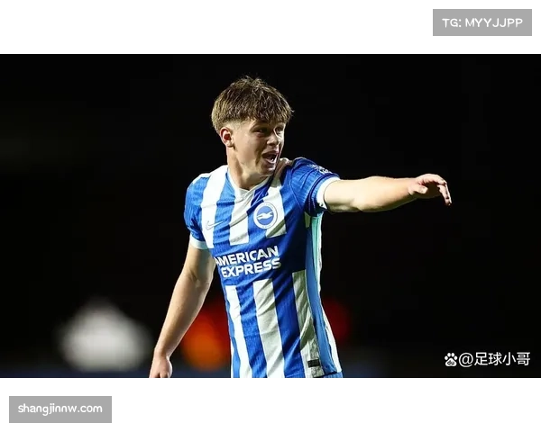 布莱顿多次从豪门身上取分 劫富济贫成新常态 布莱顿多次从豪门身上取分 劫富济贫成新常态