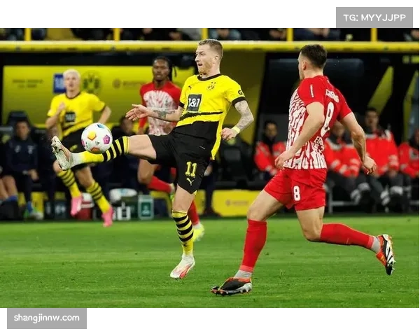 多特与拜仁分差维持九分,争冠希望渺茫但欧冠资格稳固